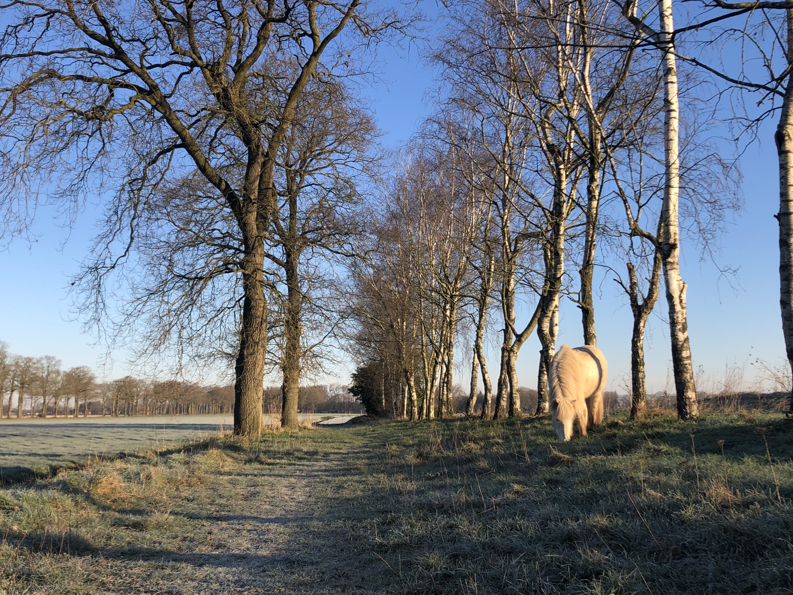 7 januari ALV en Nieuwjaarsborrel