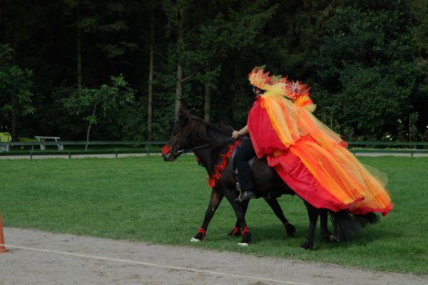 Hou je vast paarrijden