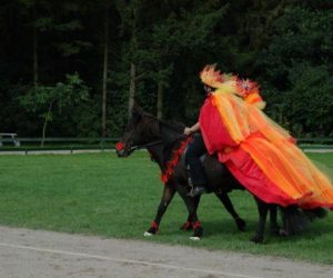 Clubkampioenschappen
