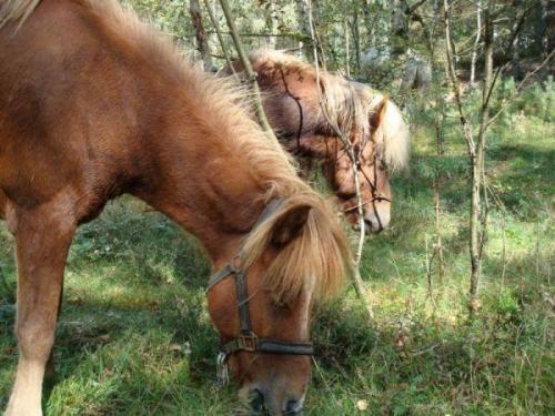 DSC08001 (FILEminimizer)